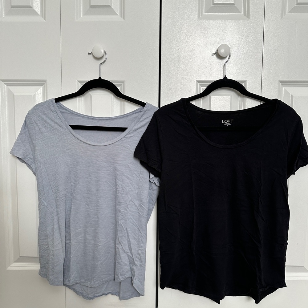 LOFT Women's Short Sleeve Tees in Black and Light Blue